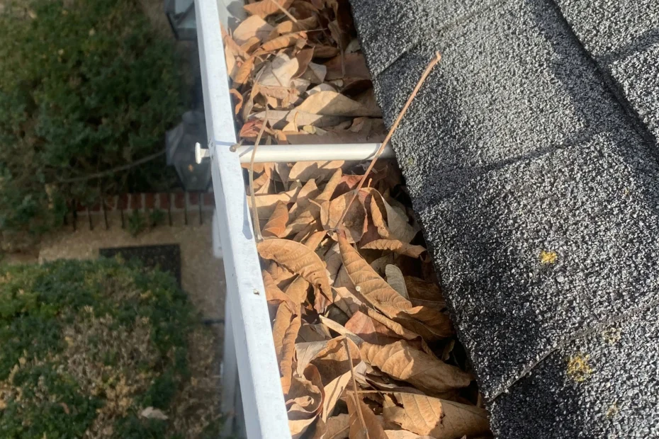 Gutter Cleaning Stafford