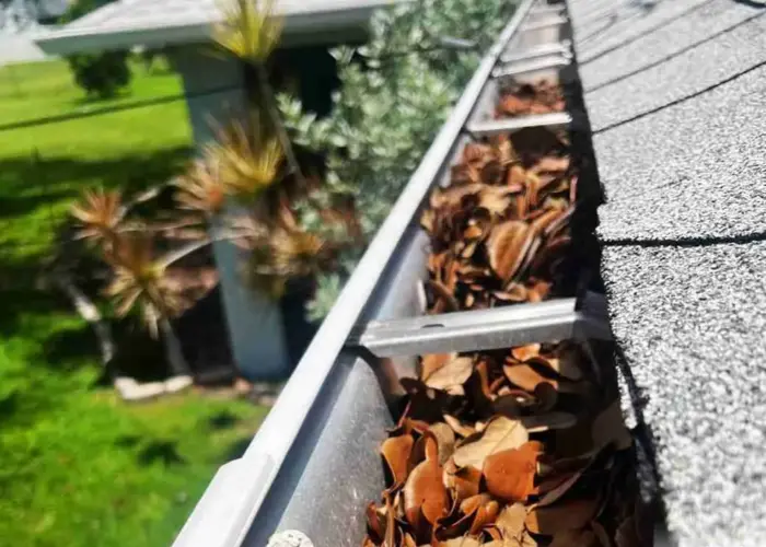 Gutter Cleaning Stafford home page